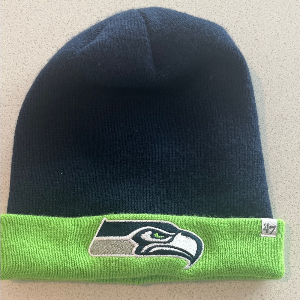 Men's Navy and Green Beanie